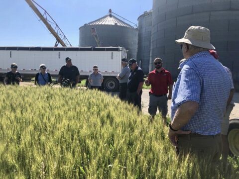 US Crops