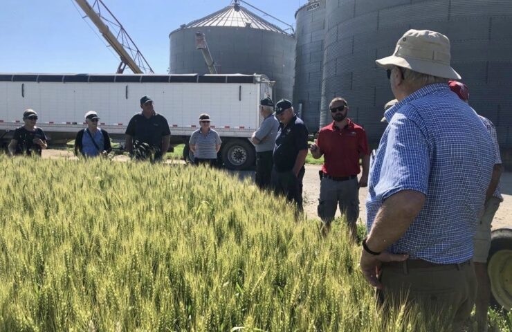 US Crops